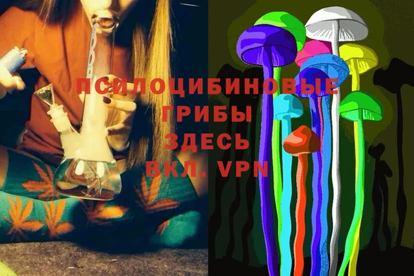 дурь Алексин