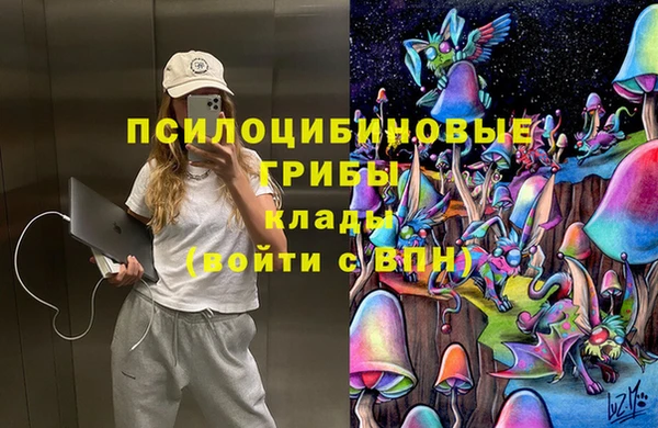 дурь Алексин
