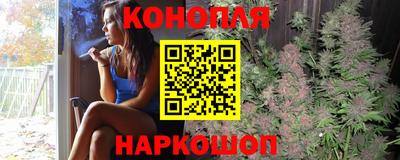 шишки Пыть-Ях