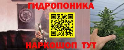 apvp Пушкино