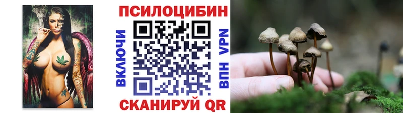 Псилоцибиновые грибы Psilocybe Уссурийск