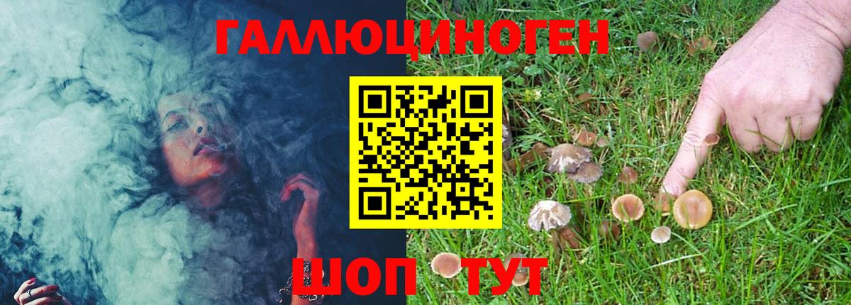 Псилоцибиновые грибы мухоморы Уссурийск