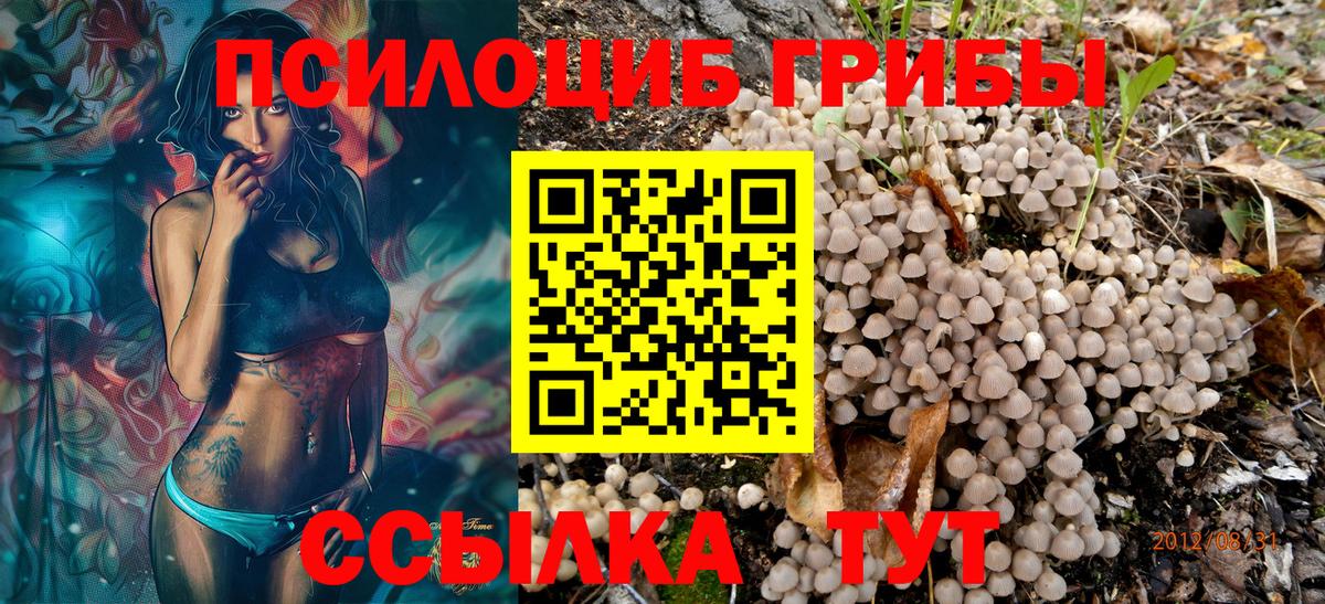 Уссурийск  Галлюциногенные грибы ЛСД  цены   Вход с VPN 