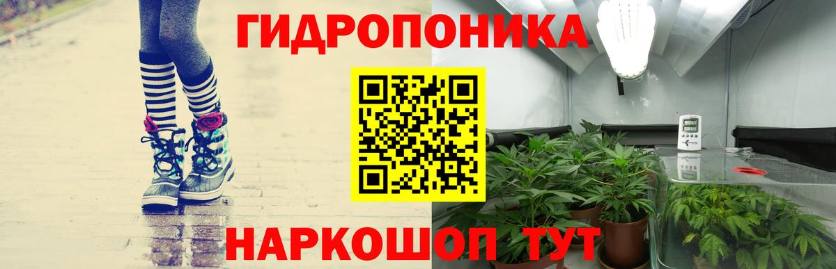 Конопля сатива  Шишки марихуана тримм  Каннабис план  Уссурийск  Вход с VPN  Канабис семена 
